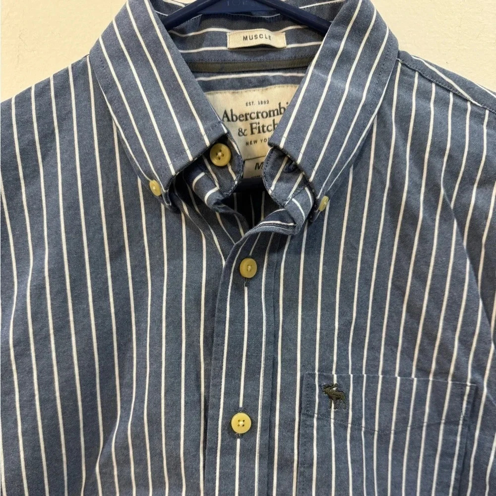 Abercrombie and Fitch Medium 100% cotton long sleeve collared blue and white
